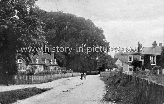 The Village, Terling, Essex. c.1910
